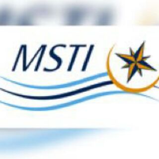 Msti year1 group