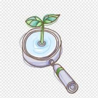 Reconocimiento de plantas 🇨🇺