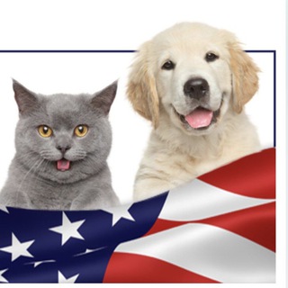 В США с животными переехать. Pets to USA