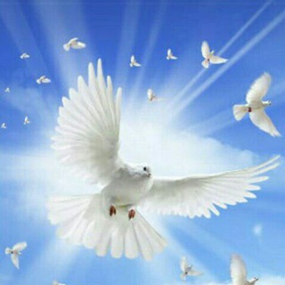 Елена Г.