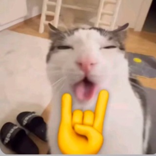 Сашка