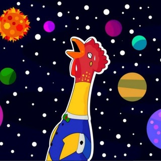 🐔 Pollito's Life