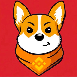 KAKI INU GLOBAL🐶 Launch On BSC