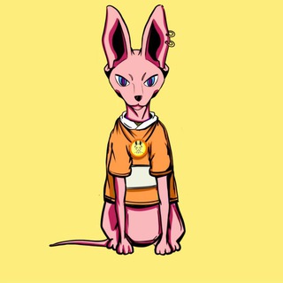 Sphynxcat coin🌐🇨🇦