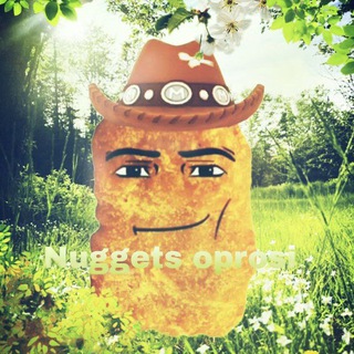 Предложка 🥎nuggets🤠oprosi