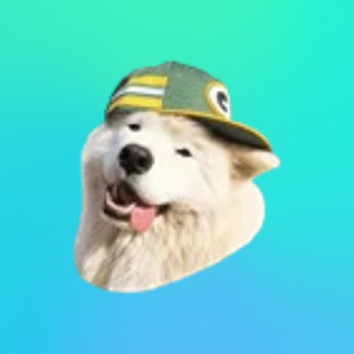 Тим