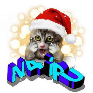 N4ipu Gaming Shop