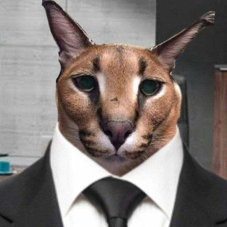 Hecker | ᵖᶦˣᵉˡ ⁷ᴾʳᵒ