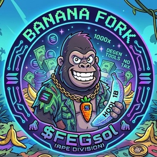 FEGsol 🦍
