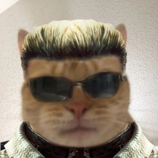 Enot Gygenot