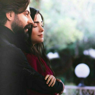 TANISHUVLAR OLAMI N=1