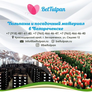 BELTULPAN beltulpan