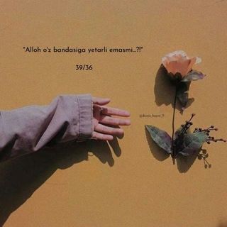 immftn
