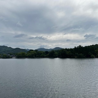 上海4t春风依旧