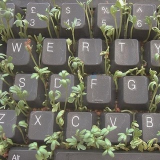 Wireless Keyboard ⌨️