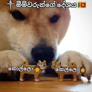 මීම්හබ් කොල්ලෝ කෙල්ලෝ 👉👈
