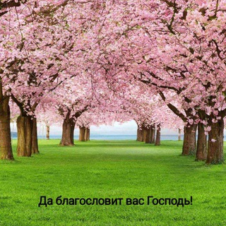 Християнські псалми😊