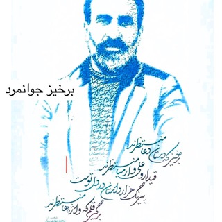 Mohammadreza Eslami