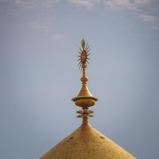 سید نوشت