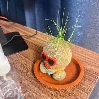 CLB THẾ MÀ LẠI HAY