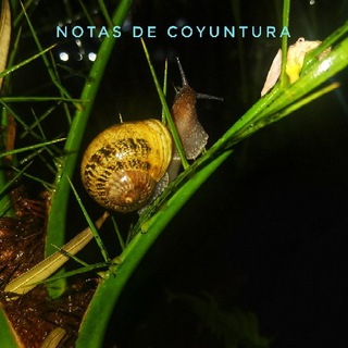 Notas de coyuntura