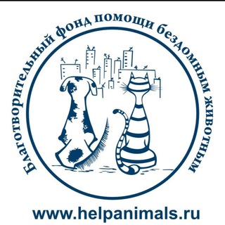 Благотворительный фонд помощи бездомным животным Екатеринбург