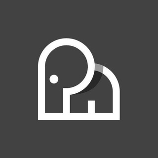 تیم برنامه نویسی پارادنت | Parad Net