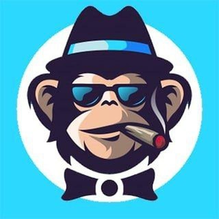 Monkey (MBY) Talk