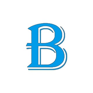 Bestinvestor_chat_bot