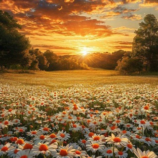 PARADISE