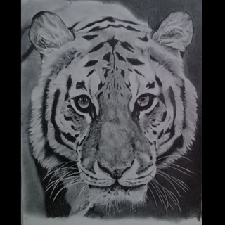 🎨 Tsega art 🎨