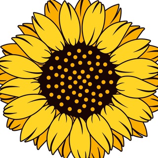 SunFlower VietNam Channel