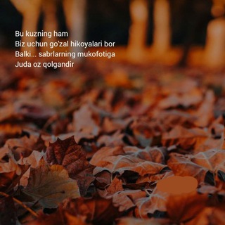 11-Noyabr