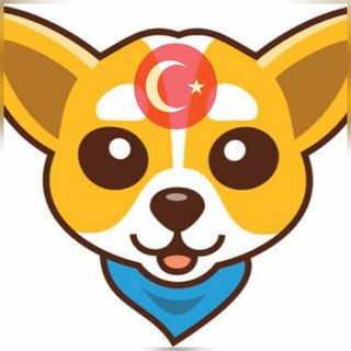 Chihua Turkiye