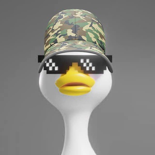 Crypto Elite Chat 🐥🐣