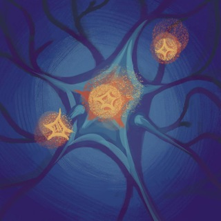NeuroLife ua