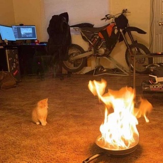 - ᗩʀɪᴀ