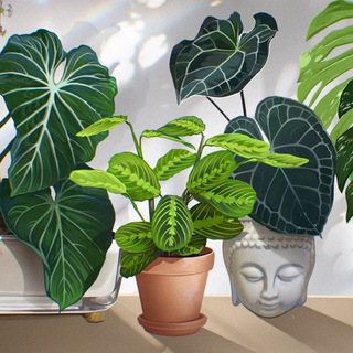 Дашка и её цвятоголики 🌱