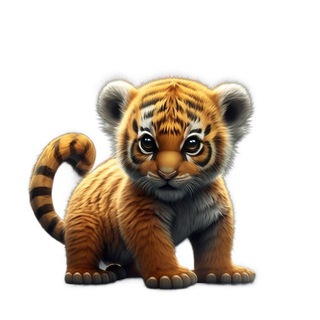 Baby BNBTigerArab