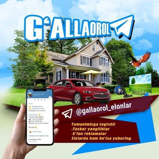 G'allaorol e'lonlar | Rasmiy kanal🇺🇿