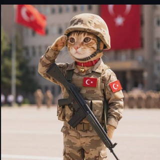 Agent C(h)at😸🇹🇷