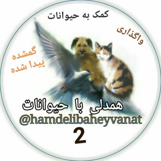 کمک به حیوانات (همدلی2) واگذاری و گمشده پیداشده