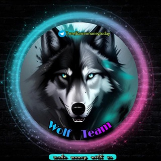 WOLF TEAM EARNING