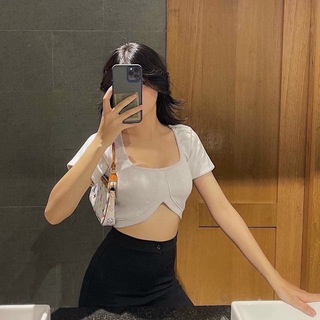 Gấu bỏ cờ bạc
