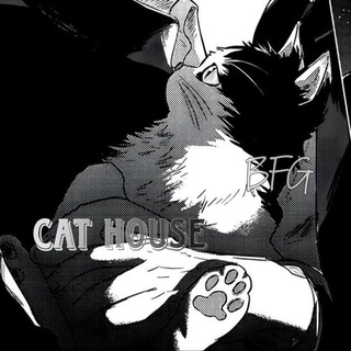 𝗖𝗮𝘁 𝗛𝗼𝘂𝘀𝗲 🐈‍⬛ | 𝖡𝖥𝖦