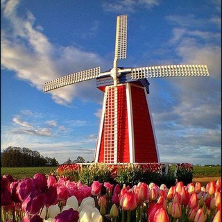 Bitcoin Holland