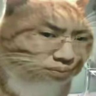 皮肤号交易记录
