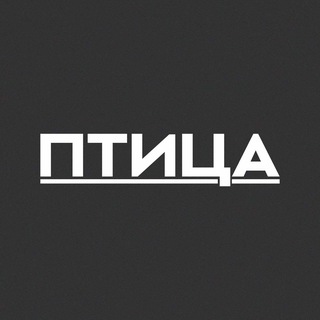 Птица | Медиа из Сибири