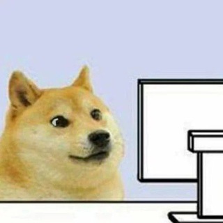 Proofreading Doge