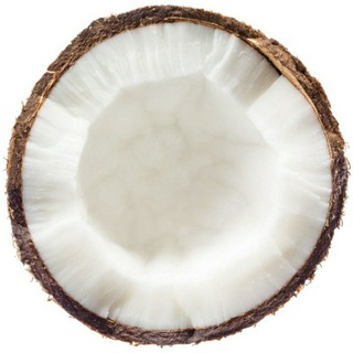 𝕮𝖔𝖈𝖈𝖔 𝖙𝖍𝖊 𝖕𝖑𝖚𝖌🥥